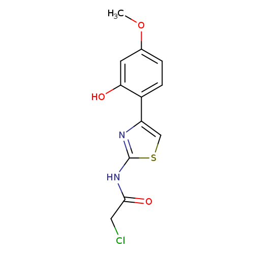 2-chloro-N-[4-(2-hydroxy-4-methoxyphenyl)-1,3-thiazol-2-yl]acetamide