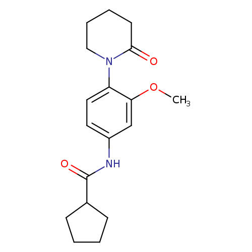 N-[3-methoxy-4-(2-oxopiperidin-1-yl)phenyl]cyclopentanecarboxamide