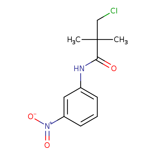 3-chloro-2,2-dimethyl-N-(3-nitrophenyl)propanamide