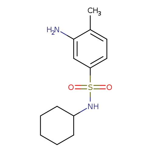 3-Amino-N-cyclohexyl-4-methylbenzenesulfonamide