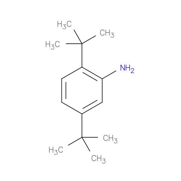 2，5-Di-tert-butylaniline