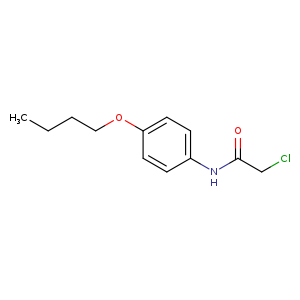 N-(4-Butoxyphenyl)-2-chloroacetamide