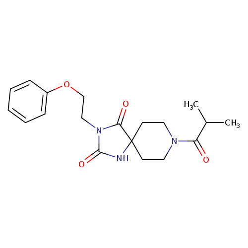 8-(2-methylpropanoyl)-3-(2-phenoxyethyl)-1,3,8-triazaspiro[4.5]decane-2,4-dione