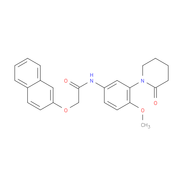 N-[4-methoxy-3-(2-oxopiperidin-1-yl)phenyl]-2-(naphthalen-2-yloxy)acetamide