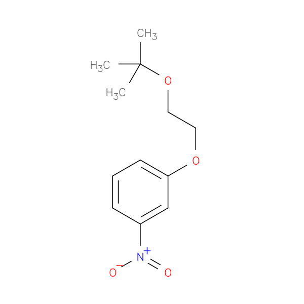 1-[2-(tert-butoxy)ethoxy]-3-nitrobenzene