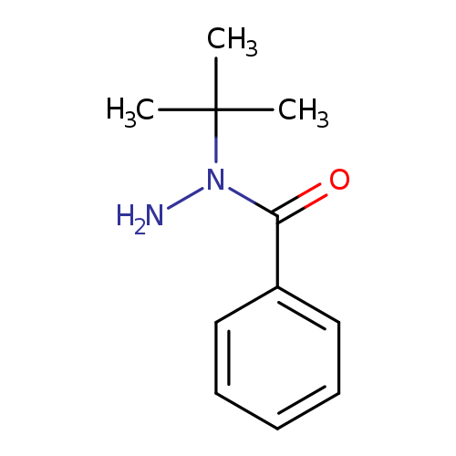 N-(tert-butyl)benzohydrazide