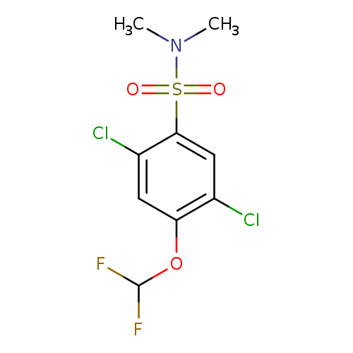 2,5-Dichloro-4-(difluoromethoxy)-n,n-dimethylbenzene-1-sulfonamide