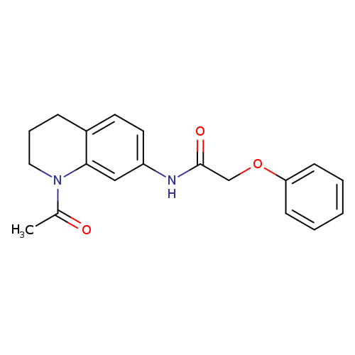 N-(1-acetyl-1,2,3,4-tetrahydroquinolin-7-yl)-2-phenoxyacetamide