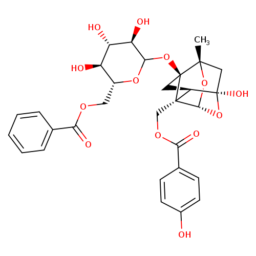 Benzoyloxypaeoniflorin