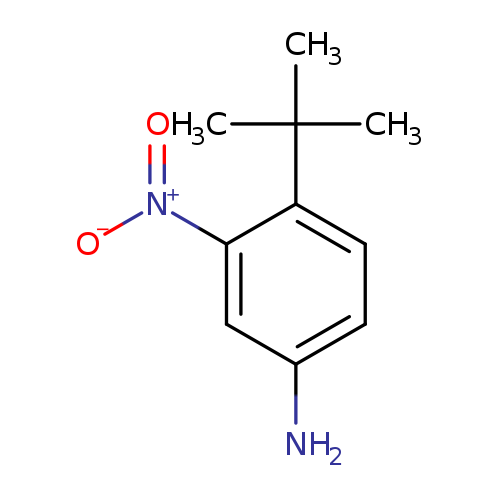 3-nitro-4-tert-butylaniline