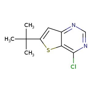 6-t-Butyl-4-chlorothieno[3,2-d]pyrimidine