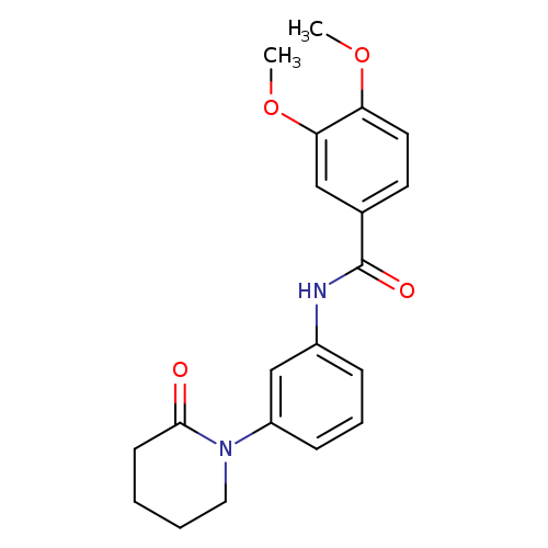 3,4-dimethoxy-N-[3-(2-oxopiperidin-1-yl)phenyl]benzamide