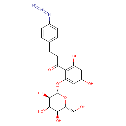 4-Azidophlorizin