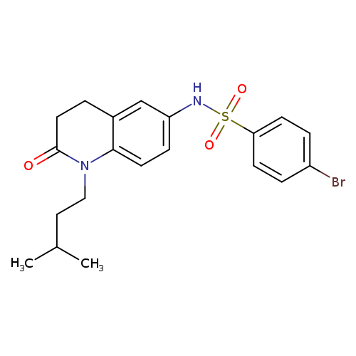 4-bromo-N-[1-(3-methylbutyl)-2-oxo-1,2,3,4-tetrahydroquinolin-6-yl]benzene-1-sulfonamide