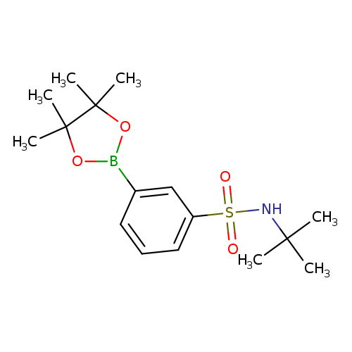 3-(tert-butylamino)sulfonyl-phenylboronic acid pinacol ester