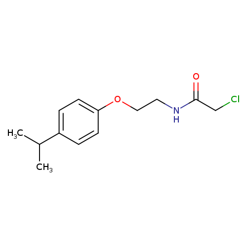 2-chloro-N-{2-[4-(propan-2-yl)phenoxy]ethyl}acetamide