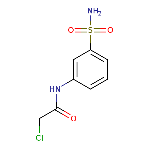 2-CHLORO-N-(3-SULFAMOYL-PHENYL)-ACETAMIDE