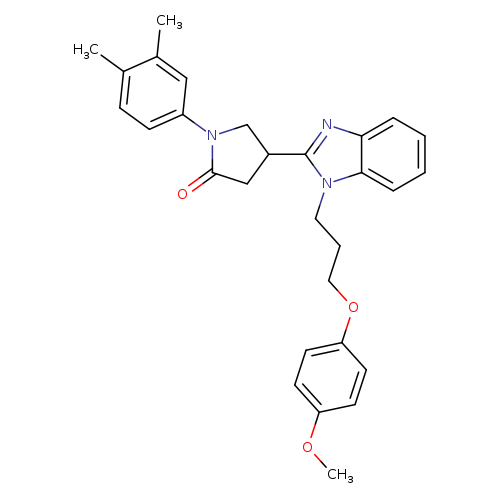1-(3,4-dimethylphenyl)-4-{1-[3-(4-methoxyphenoxy)propyl]-1H-1,3-benzodiazol-2-yl}pyrrolidin-2-one