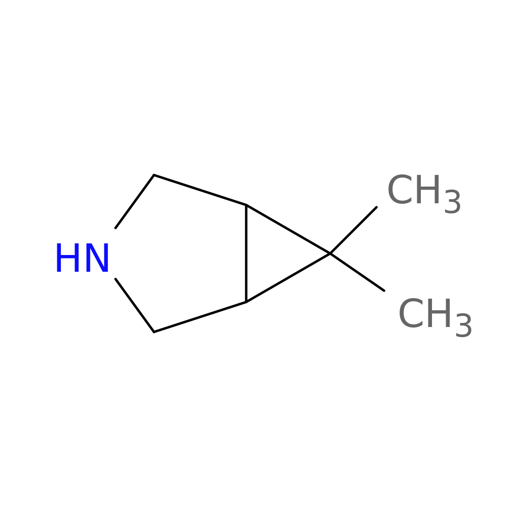 6,6-Dimethyl-3-azabicyclo[3.1.0]hexane