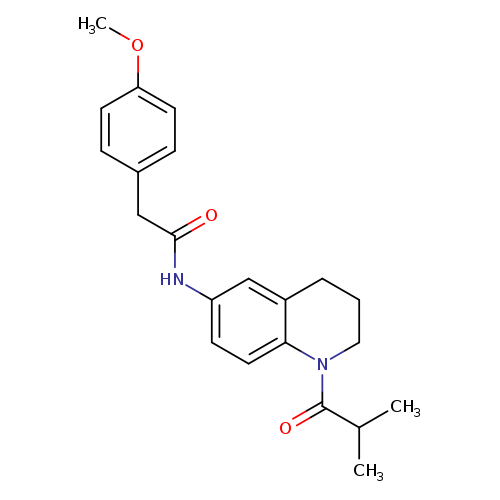 2-(4-methoxyphenyl)-N-[1-(2-methylpropanoyl)-1,2,3,4-tetrahydroquinolin-6-yl]acetamide