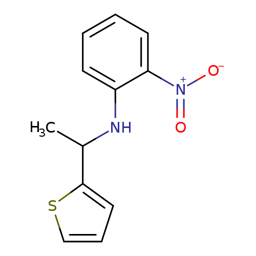 2-nitro-N-[1-(thiophen-2-yl)ethyl]aniline