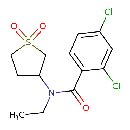 2,4-dichloro-N-(1,1-dioxo-1lambda6-thiolan-3-yl)-N-ethylbenzamide