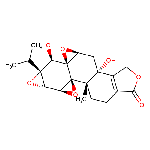 5α-Hydroxytriptolide