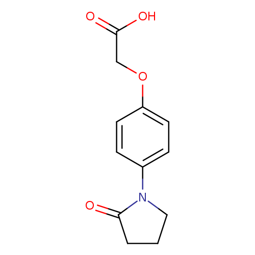 2-[4-(2-Oxopyrrolidin-1-yl)phenoxy]acetic acid
