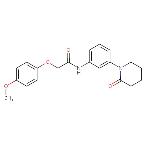 2-(4-methoxyphenoxy)-N-[3-(2-oxopiperidin-1-yl)phenyl]acetamide