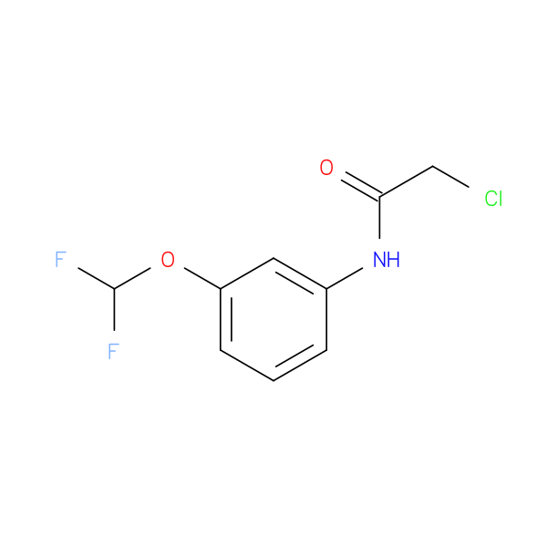 2-Chloro-N-[3-(difluoromethoxy)phenyl]acetamide