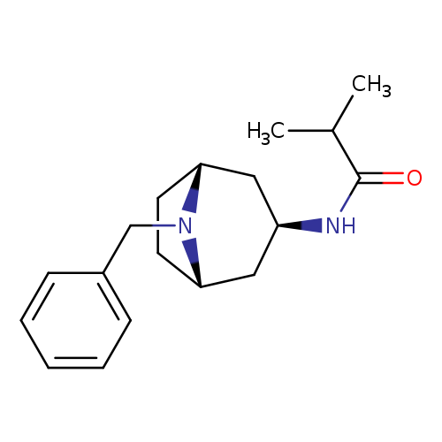 N-(8-Benzyl-8-azabicyclo[3.2.1]oct-3-yl-exo)-2-methylpropanamide