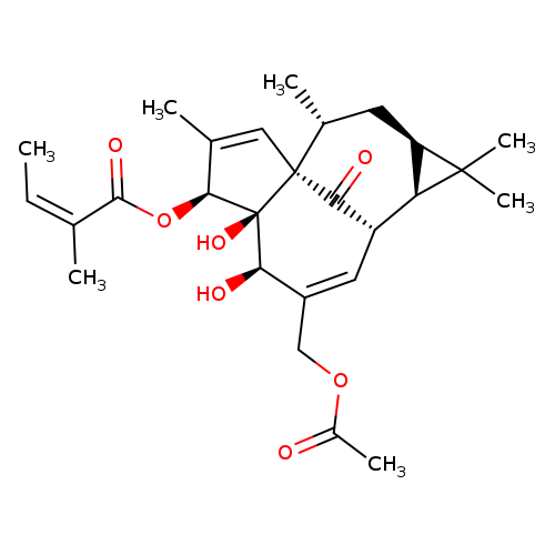 20-O-Acetylingenol-3-angelate