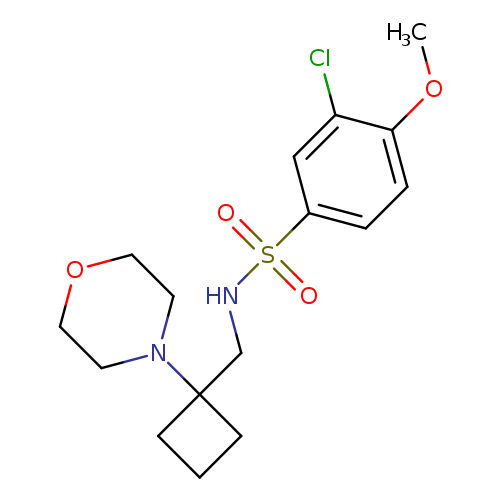 3-chloro-4-methoxy-N-{[1-(morpholin-4-yl)cyclobutyl]methyl}benzene-1-sulfonamide