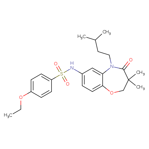 N-[3,3-dimethyl-5-(3-methylbutyl)-4-oxo-2,3,4,5-tetrahydro-1,5-benzoxazepin-7-yl]-4-ethoxybenzene-1-sulfonamide