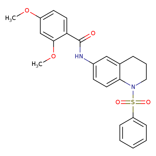 N-[1-(benzenesulfonyl)-1,2,3,4-tetrahydroquinolin-6-yl]-2,4-dimethoxybenzamide