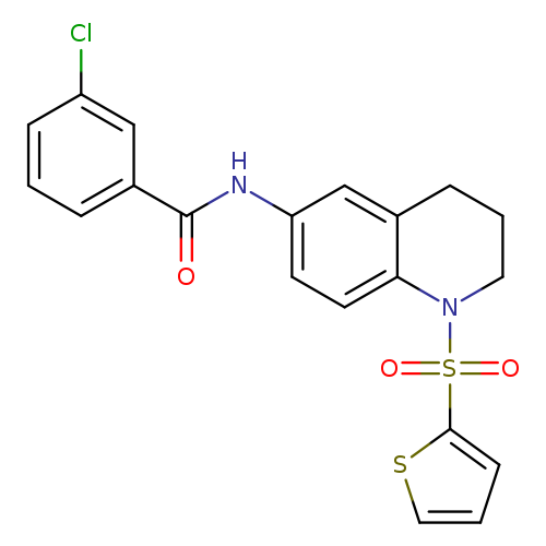 3-chloro-N-[1-(thiophene-2-sulfonyl)-1,2,3,4-tetrahydroquinolin-6-yl]benzamide
