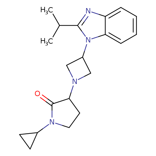 1-cyclopropyl-3-{3-[2-(propan-2-yl)-1H-1,3-benzodiazol-1-yl]azetidin-1-yl}pyrrolidin-2-one