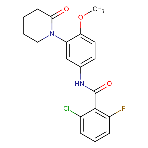 2-chloro-6-fluoro-N-[4-methoxy-3-(2-oxopiperidin-1-yl)phenyl]benzamide