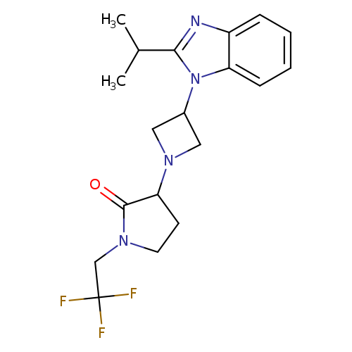 3-{3-[2-(propan-2-yl)-1H-1,3-benzodiazol-1-yl]azetidin-1-yl}-1-(2,2,2-trifluoroethyl)pyrrolidin-2-one