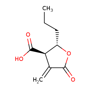 Butyrolactone 3