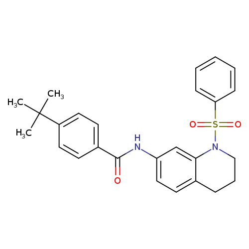 N-[1-(benzenesulfonyl)-1,2,3,4-tetrahydroquinolin-7-yl]-4-tert-butylbenzamide