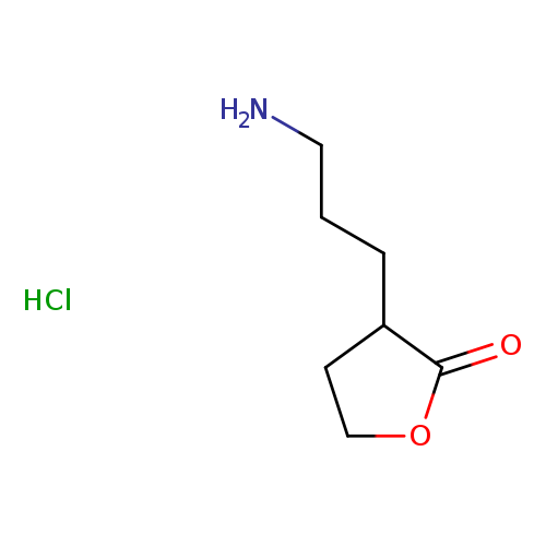 3-(3-aminopropyl)oxolan-2-one hydrochloride