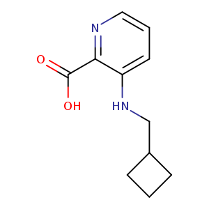 3-(cyclobutylmethylamino)pyridine-2-carboxylic acid