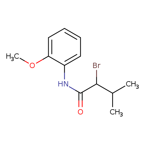 2-bromo-N-(2-methoxyphenyl)-3-methylbutanamide