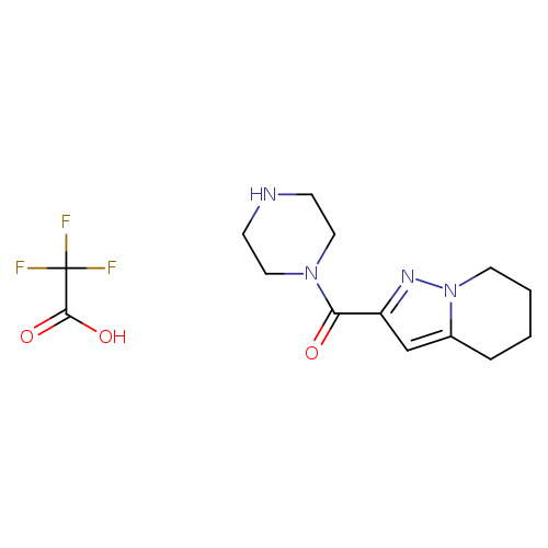 Piperazin-1-yl(4,5,6,7-tetrahydropyrazolo[1,5-a]pyridin-2-yl)methanone 2,2,2-trifluoroacetate