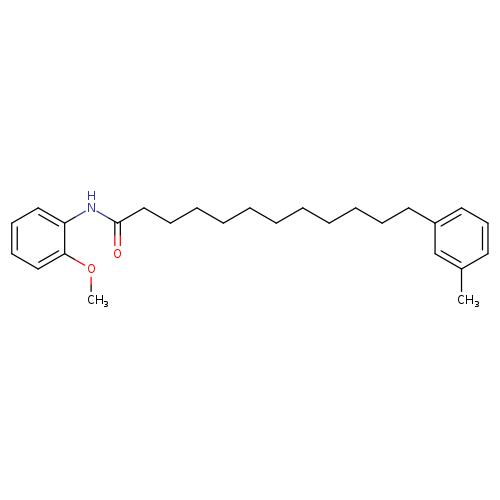 N-(2-methoxyphenyl)-12-(3-methylphenyl)dodecanamide