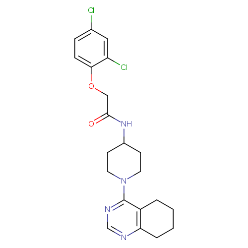 2-(2,4-dichlorophenoxy)-N-[1-(5,6,7,8-tetrahydroquinazolin-4-yl)piperidin-4-yl]acetamide