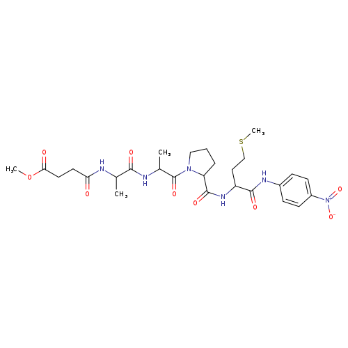 MeOSuc-AAPM-PNA