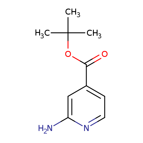 tert-Butyl 2-aminoisonicotinate