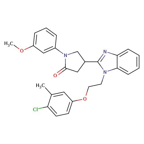 4-{1-[2-(4-chloro-3-methylphenoxy)ethyl]-1H-1,3-benzodiazol-2-yl}-1-(3-methoxyphenyl)pyrrolidin-2-one